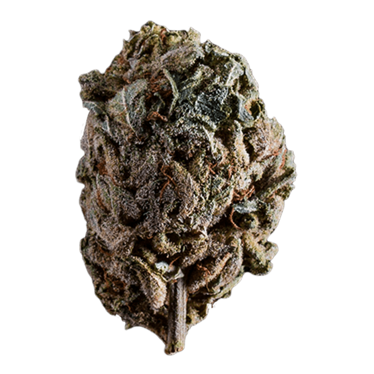 Purple Candy | BC Weed Edible Canada Purple Candy | BC Weed Edible Canada