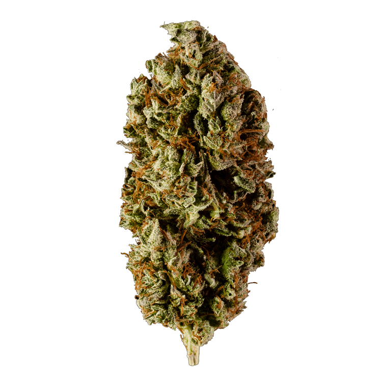 Watermelon | BC Weed Edible Canada Watermelon | BC Weed Edible Canada