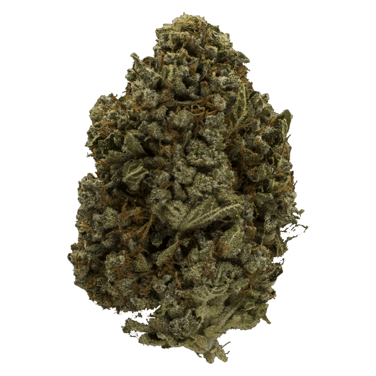 Lemon Hash | BC Weed Edible Canada Lemon Hash | BC Weed Edible Canada