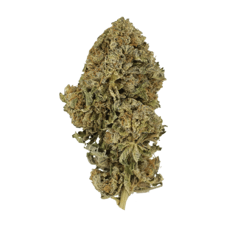 Durban Poison | BC Weed Edible Canada Durban Poison | BC Weed Edible Canada