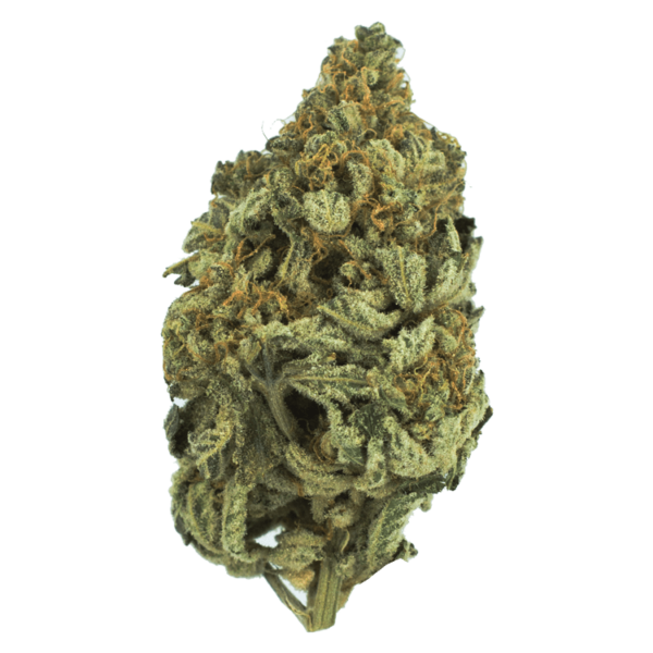 Bakerstreet | BC Weed Edible Canada Bakerstreet | BC Weed Edible Canada