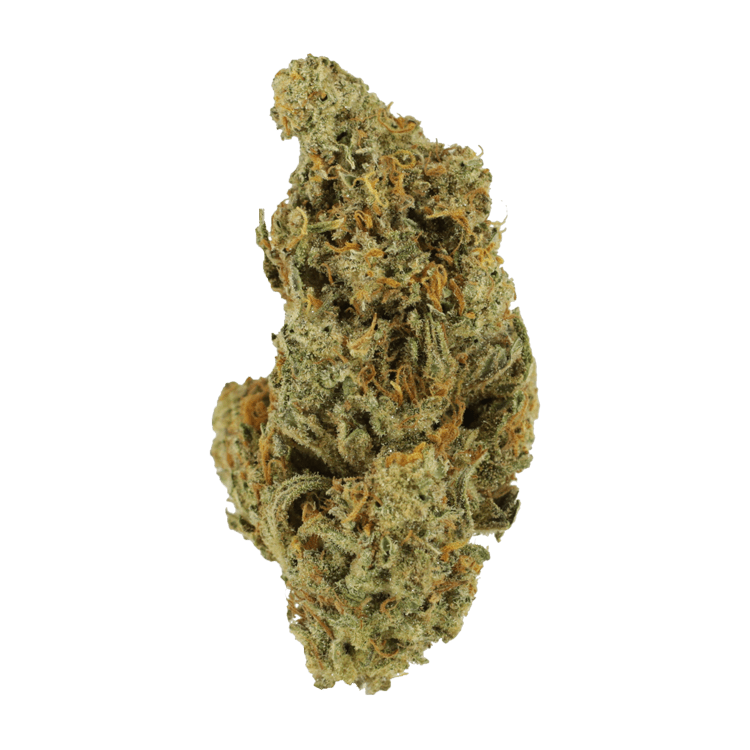 Mandarin Haze – 1 ounce | BC Weed Edible Canada Mandarin Haze – 1 ounce | BC Weed Edible Canada