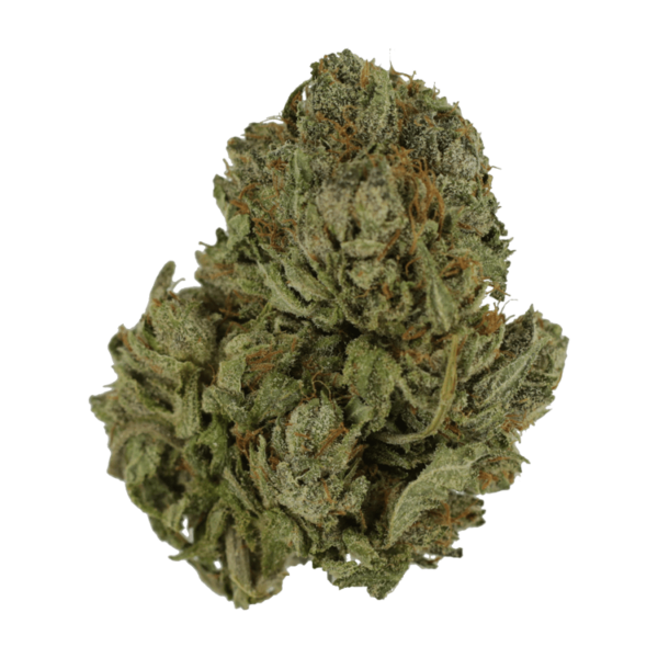 Salt Pot – Corn Nuts – 250mg THC | BC Weed Edible Canada Salt Pot – Corn Nuts – 250mg THC | BC Weed Edible Canada