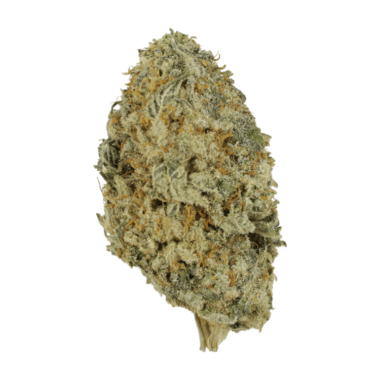 Donkey Butter | BC Weed Edible Canada Donkey Butter | BC Weed Edible Canada