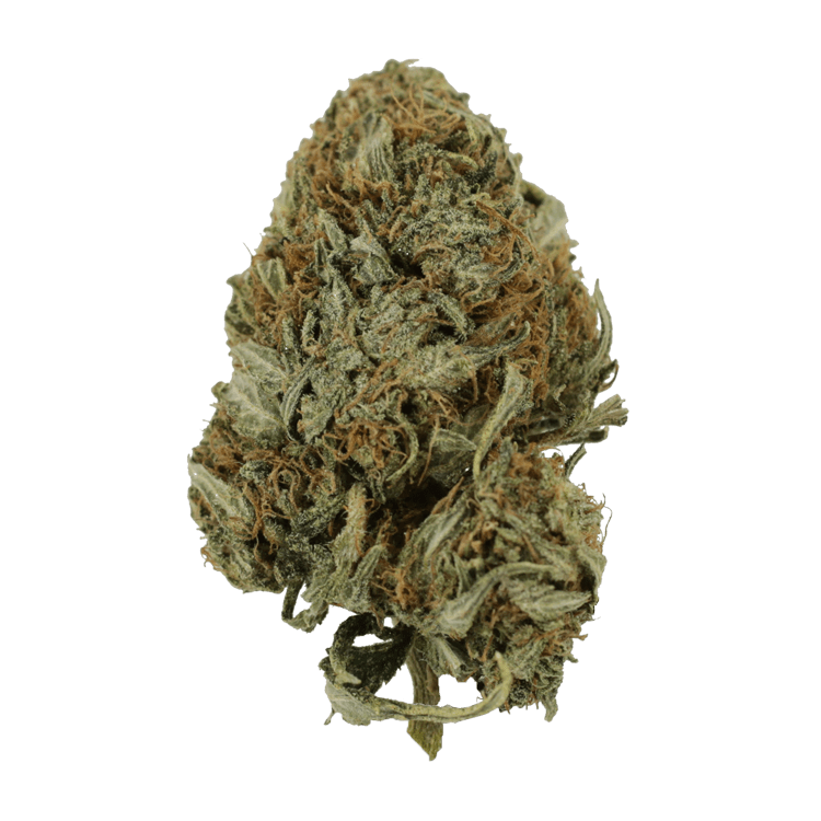 Kandy Kush | BC Weed Edible Canada Kandy Kush | BC Weed Edible Canada