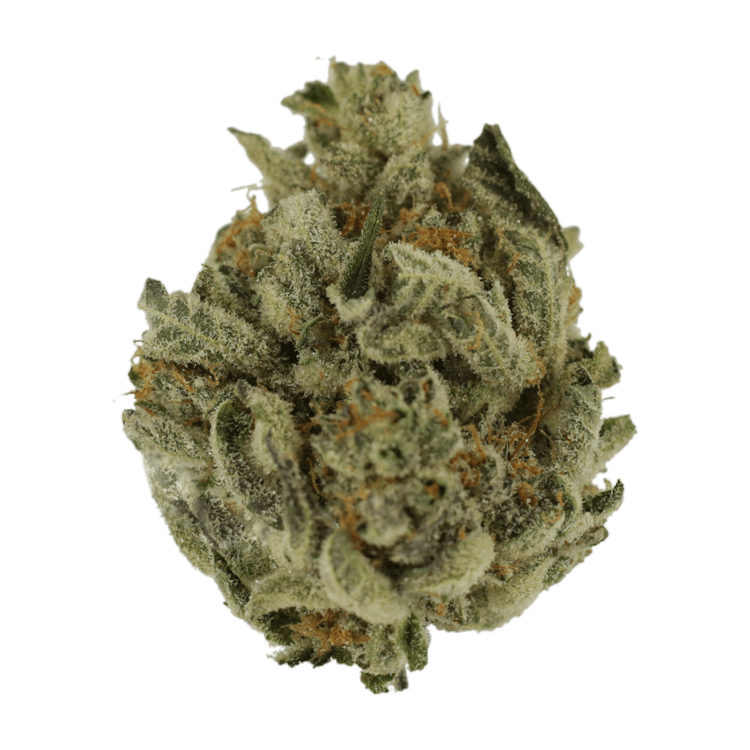 Biscotti Sundae | BC Weed Edible Canada Biscotti Sundae | BC Weed Edible Canada