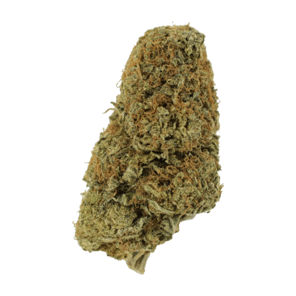 Sugar Pine | BC Weed Edible Canada Sugar Pine | BC Weed Edible Canada