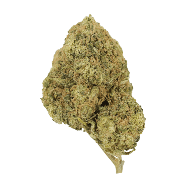 Laughing Buddha | BC Weed Edible Canada Laughing Buddha | BC Weed Edible Canada