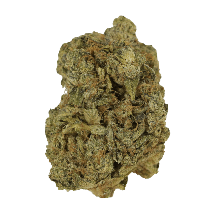 California Sour Diesel | BC Weed Edible Canada California Sour Diesel | BC Weed Edible Canada