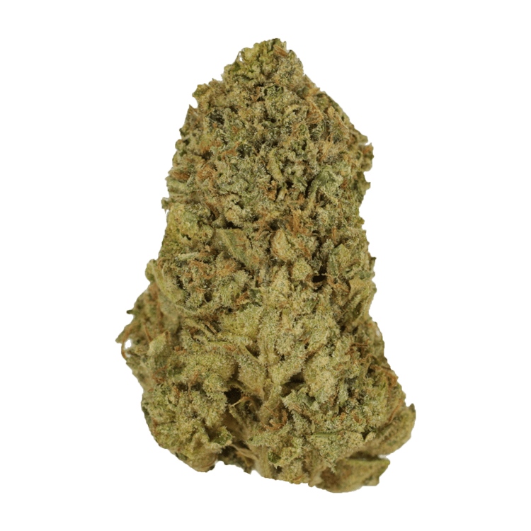 El Chapo | BC Weed Edible Canada El Chapo | BC Weed Edible Canada