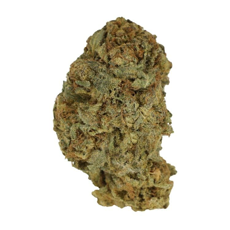 Blue God | BC Weed Edible Canada Blue God | BC Weed Edible Canada