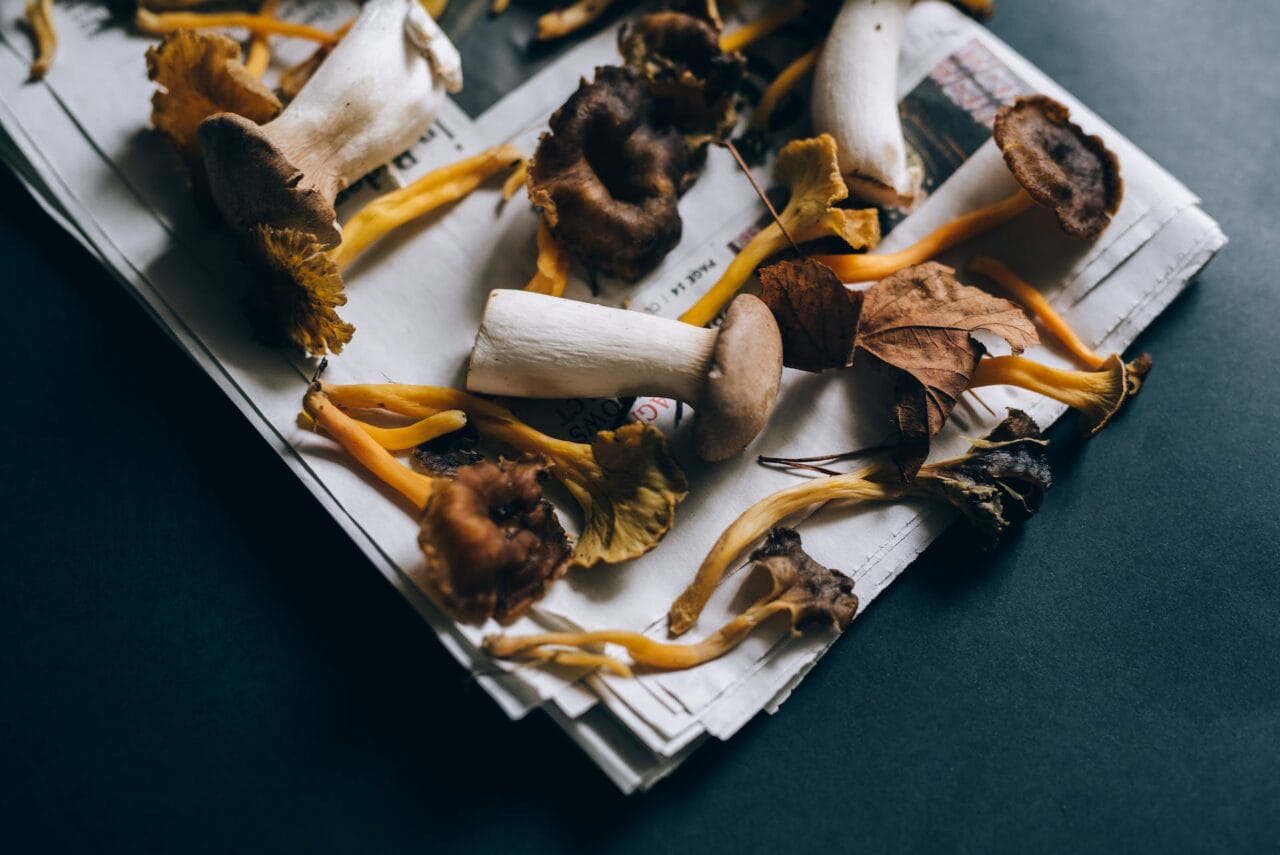 Can You Pair Mushrooms and Chocolate?