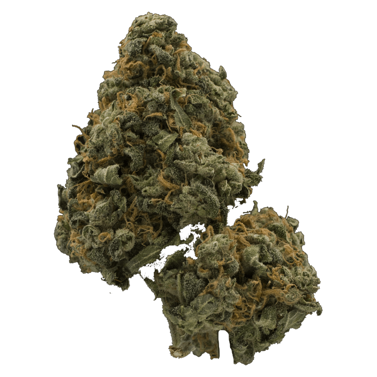 Mandarin Cookie (popcorn) | BC Weed Edible Canada Mandarin Cookie (popcorn) | BC Weed Edible Canada